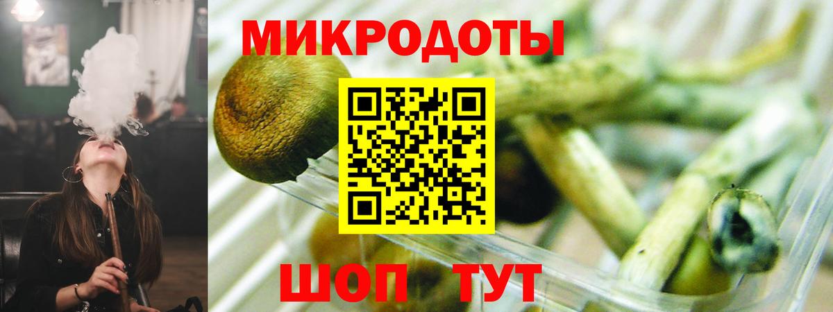 Саяногорск  Галлюциногенные грибы Cubensis  Вход с VPN 